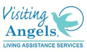 Visiting Angels Franchise Review: Cost, ROI & E-2 Visa Guide