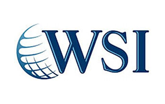 WSI Franchise Review: Your Global B2B Digital Marketing Biz?