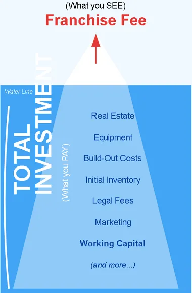 The Iceberg of Franchise Costs